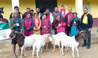 गण्डकी गाउँपालिकाका चेपाङ महिलाको आयआर्जनका लागि बाख्रा बितरण 