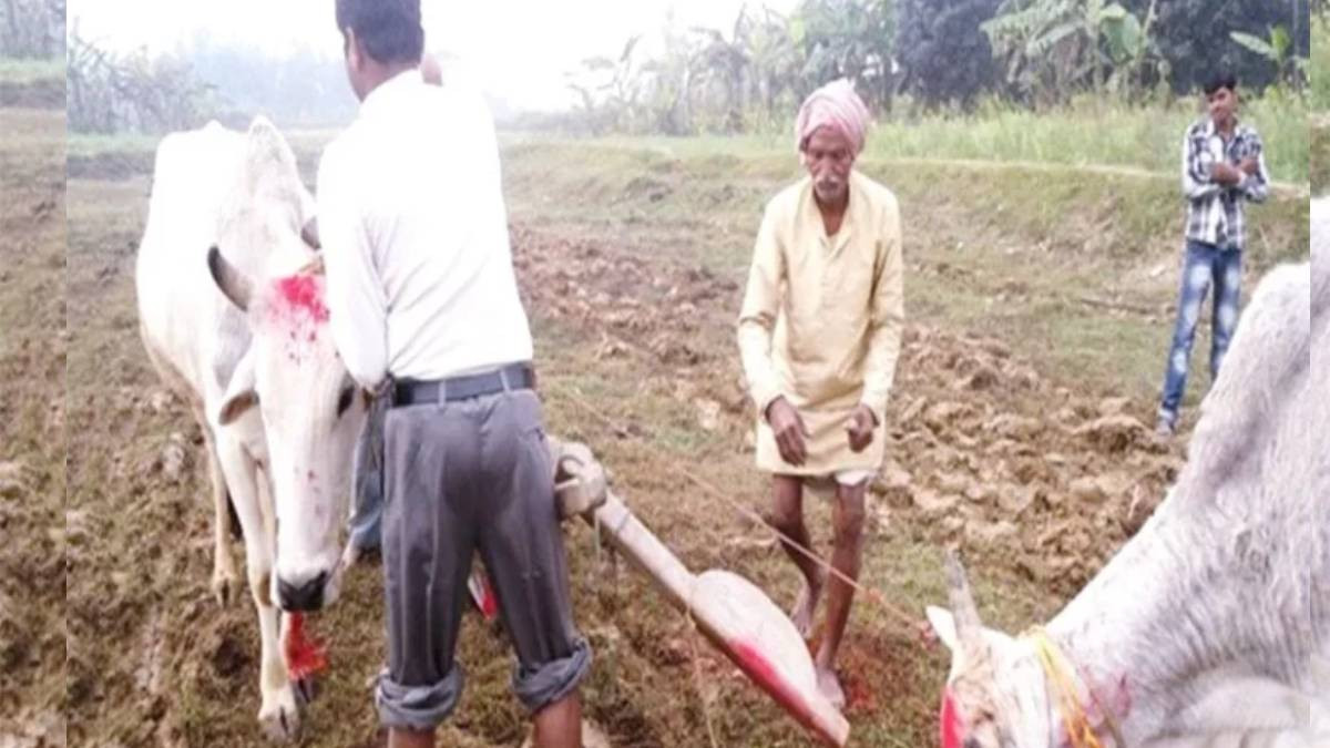 मिथिलाञ्चलमा हलो र गोरु पूजा गरियो