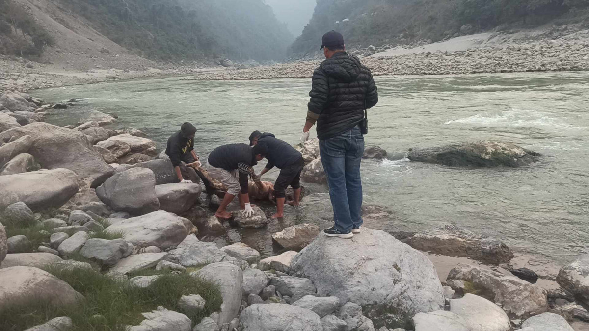 फिस्लिङ पारी त्रिशूली नदीमा महिलाको शव फेला