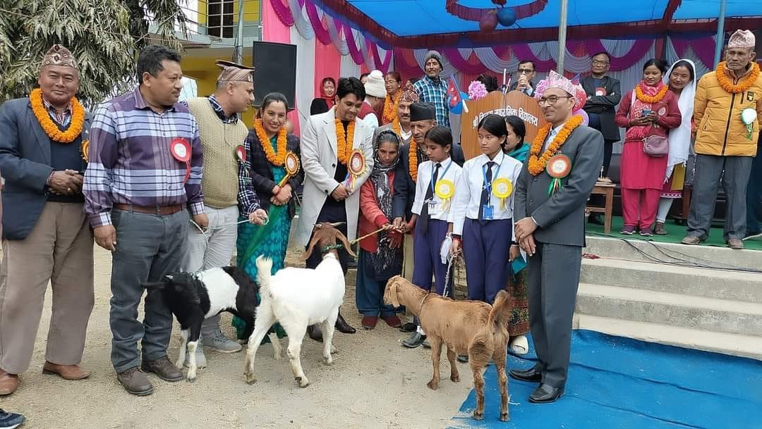 आँबुखैरेनीको मित्रता मावि : विद्यार्थीलाई दिन्छन् छात्रवृत्तिमा बाख्राको पाठी