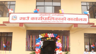 आँबुखैरेनीमा डेङ्गु संक्रमण तीब्र फैलिदै, ३५५ जनामा संक्रमण