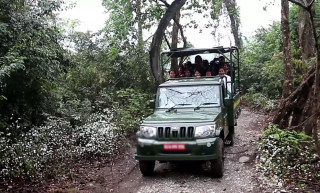 चितवनमा असार १६ गतेदेखि निकुञ्ज सफारी बन्द हुने