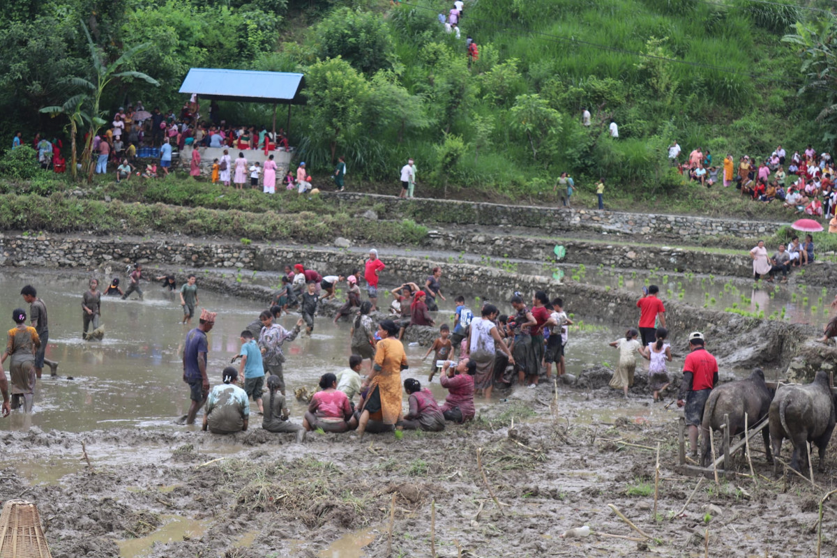 आँबुखैरेनीको ढापटारमा हिले महोत्सव सम्पन्न