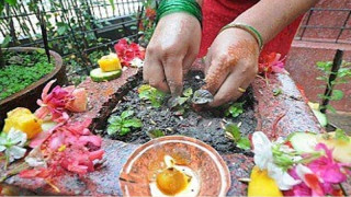 आज निर्जला एकादशी, तुलसीको दल राख्ने दिन