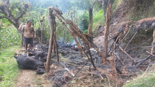 शहिद लखनको देउराली छापको एक गोठमा आगलागी हुदाँ ६ वटा बाख्रा मरे