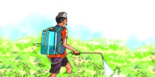 गण्डकी गाउँपालिकामा विषादी प्रयोगको अवस्था बुझ्न कृषिमन्त्रीद्वारा कार्यदल गठन