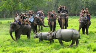पर्यटकीय मौसमको पखाईमा सौराहाका व्यवसायीहरु
