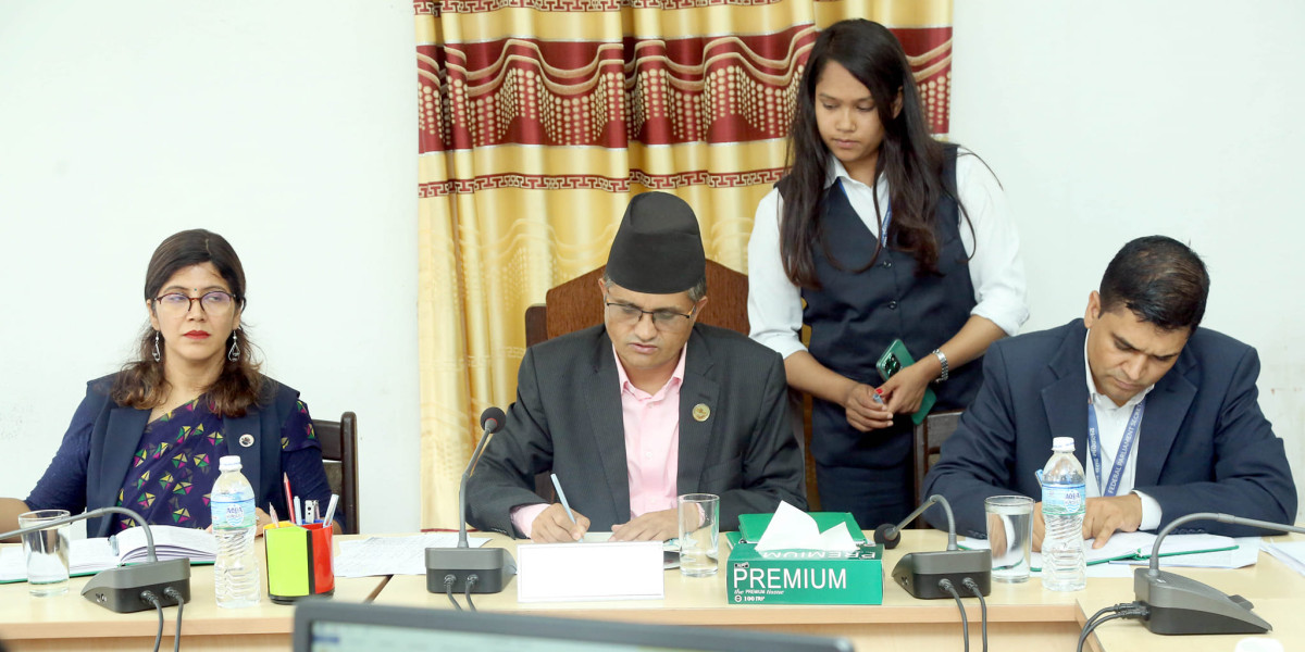 सहकारी ठगीमा रवि लामिछाने दोषी ठहर, समितिले आज संसद्‌मा प्रतिवेदन बुझाउने