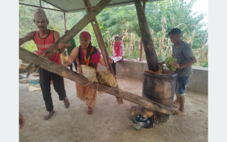 चिउरीको दाना पेलेर घ्यूको जोहो गर्दै घोराहीका स्थानीय