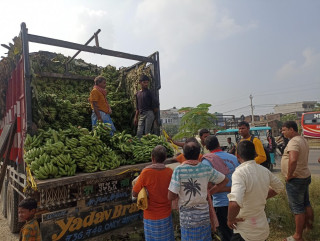 छठका लागि जनकपुरमा भारतबाट पाँच करोडको केरा आयात