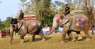 सौराहामा आगामी पुस ११ गतेदेखि १८ औँ हात्ती तथा पर्यटन महोत्सव–२०८१ हुने
