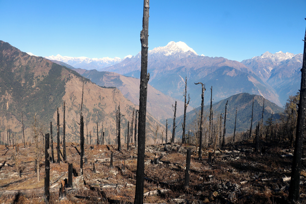 डेढ दशक अघि डढेलोले नष्ट पारेको रसुवा स्थित गत्लाङ डाडाँको वन पुनस्थापना गर्न बागमतीका वनमन्त्री सिलवालको चासो