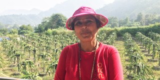 शिक्षण पेशा छोडेर कृषिमा रमाउँदै  तनहुँकी एक महिला