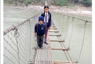 जोखिम मोलेर अधकल्चो पुल तर्न बाध्य स्थानीय