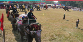 सौराहामा हात्ती तथा पर्यटन महोत्सव सुरु