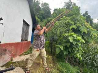 बाँदर धपाउन शहिद लखनका किसानलाई अनुदानमा गुलेली