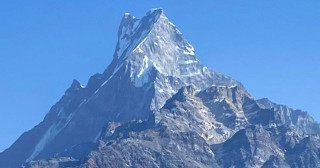 हिउँबिनाको माछापुच्छ्रे