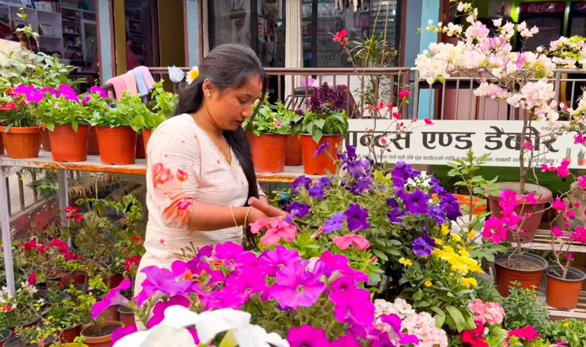 सिजनमा महिनामै २० लाख फुलको कारोबार गरेर महिनामै दुई लाख बचाउँछिन् आँबुखैरेनीकी सरिश्मा गुरुङ