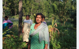वनको खाली जग्गामा खेती गरेर आम्दानी गर्दै महिला