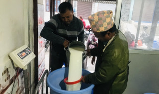 धेरै दुध बिक्री गर्ने तनहुँका लेखनाथ बाँस्तोला पुरस्कृत