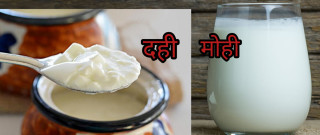 तौल घटाउन दही खाने कि मोही ?