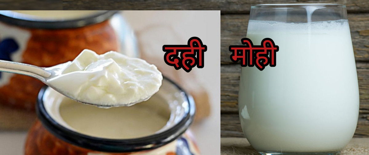 तौल घटाउन दही खाने कि मोही ?