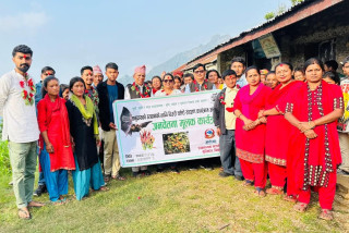 चेपाङ समुदायको उत्थानको लागि चिऊरी, चमेरो संरक्षण कार्यक्रम