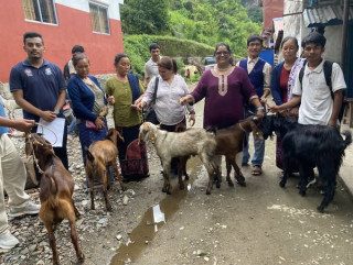 इच्छाकामनामा 'एक वडा, एक कृषि उत्पादन' कार्यक्रम प्रभावकारी ढंगले सञ्चालन