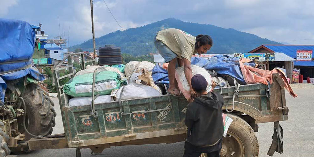 बाँझो जमिनमा तरकारी उत्पादन गर्दै धर्मराज