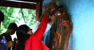 आज नागपञ्चमी :  नागको पूजाआराधना गरी मनाइँदै
