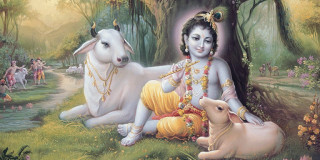 आज श्रीकृष्ण जन्माष्टमी, धुमधामले मनाइँदै