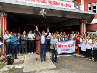 चितवनमा शान्तिको प्रतीक परेवा उडाएर मनाइयो संविधान दिवस