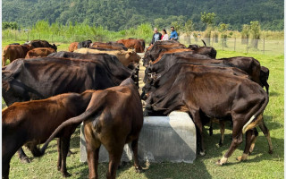 ‘दाता’ को सहयोगले गौ संरक्षण केन्द्र सञ्चालनमा सहज
