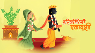 आज हरिबोधिनी एकादशी, तुलसी र दामोदरको विवाह गरी मनाइँदै