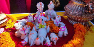 पोखरामा यःमरी महोत्सव