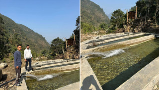 आँबुखैरेनीमा ‘रेन्वो ट्राउट’ माछा पालनको प्रारम्भिक परीक्षण सुरु