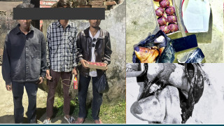 वीरगन्जमा धार्मिक साम्प्रदायिकता भड्काउने षड्यन्त्र विफल, विस्फोटक पदार्थ र सुँगुरको टाउकोसहित ३ पक्राउ
