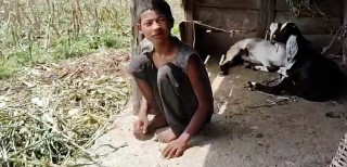 बाख्राको खोरमा १५ वर्ष : साङ्लोमा बाँधिएको बिशालको ‘बेवारिसे’ बाल्यकाल
