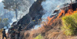 तनहुँको देवघाट गाउँपालिका वन डढेलोको सबैभन्दा उच्च जोखिममा